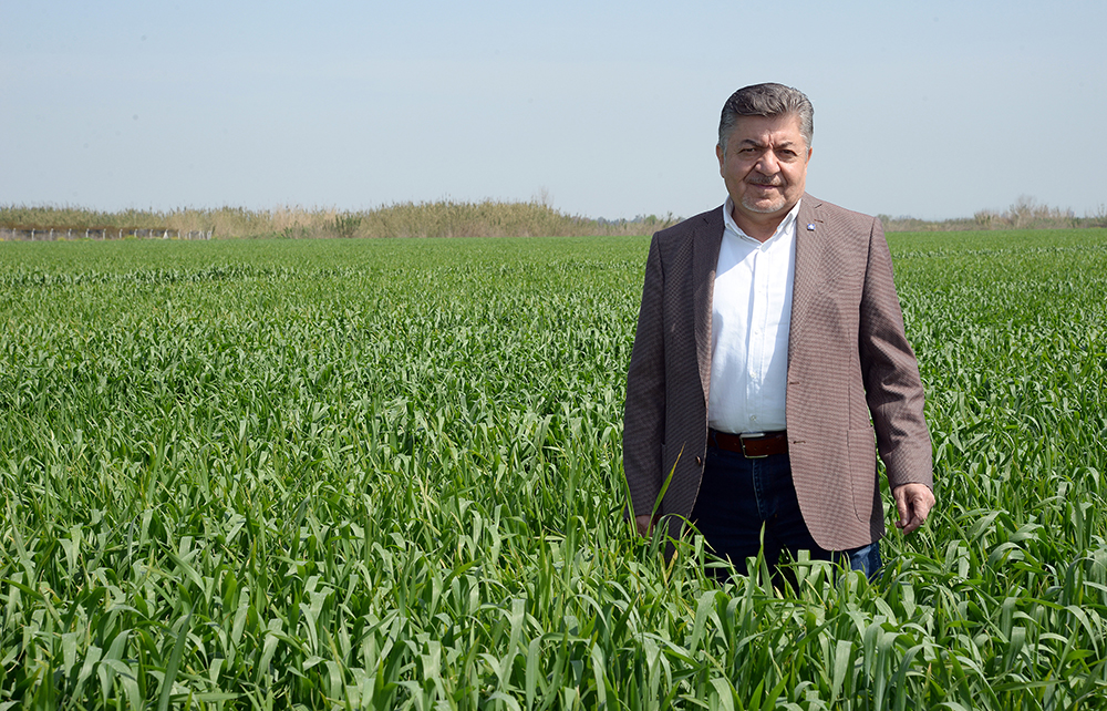 KORKUT: SÜRDÜRÜLEBİLİR BİR ÜRETİM İÇİN BUĞDAY TABAN FİYATI EN AZ 2,57 TL OLMALI