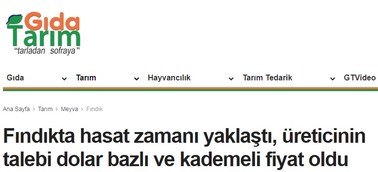 GIDATARIM.COM: FINDIKTA HASAT ZAMANI YAKLAŞTI, ÜRETİCİNİN TALEBİ DOLAR BAZLI VE KADEMELİ FİYAT OLDU- 15 HAZİRAN 2021