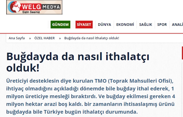 WELGMEDYA: BUĞDAYDA DA NASIL İTHALATÇI OLDUK!- 2 AĞUSTOS 2021