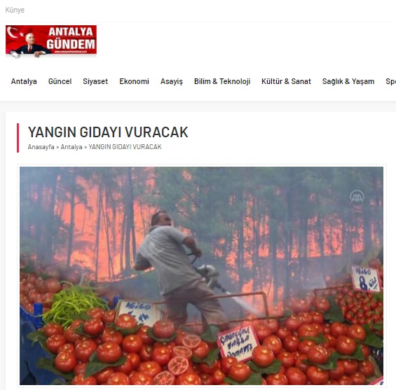 ANTALYA GÜNDEM GAZETESİ: YANGIN GIDAYI VURACAK- 12 AĞUSTOS 2021