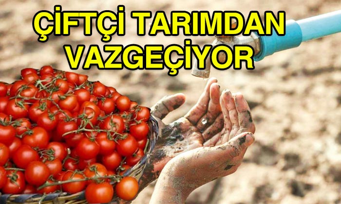ANTALYA GÜNDEM GAZETESİ: ÇİFTÇİ TARIMDAN VAZGEÇİYOR- 19 AĞUSTOS 2021