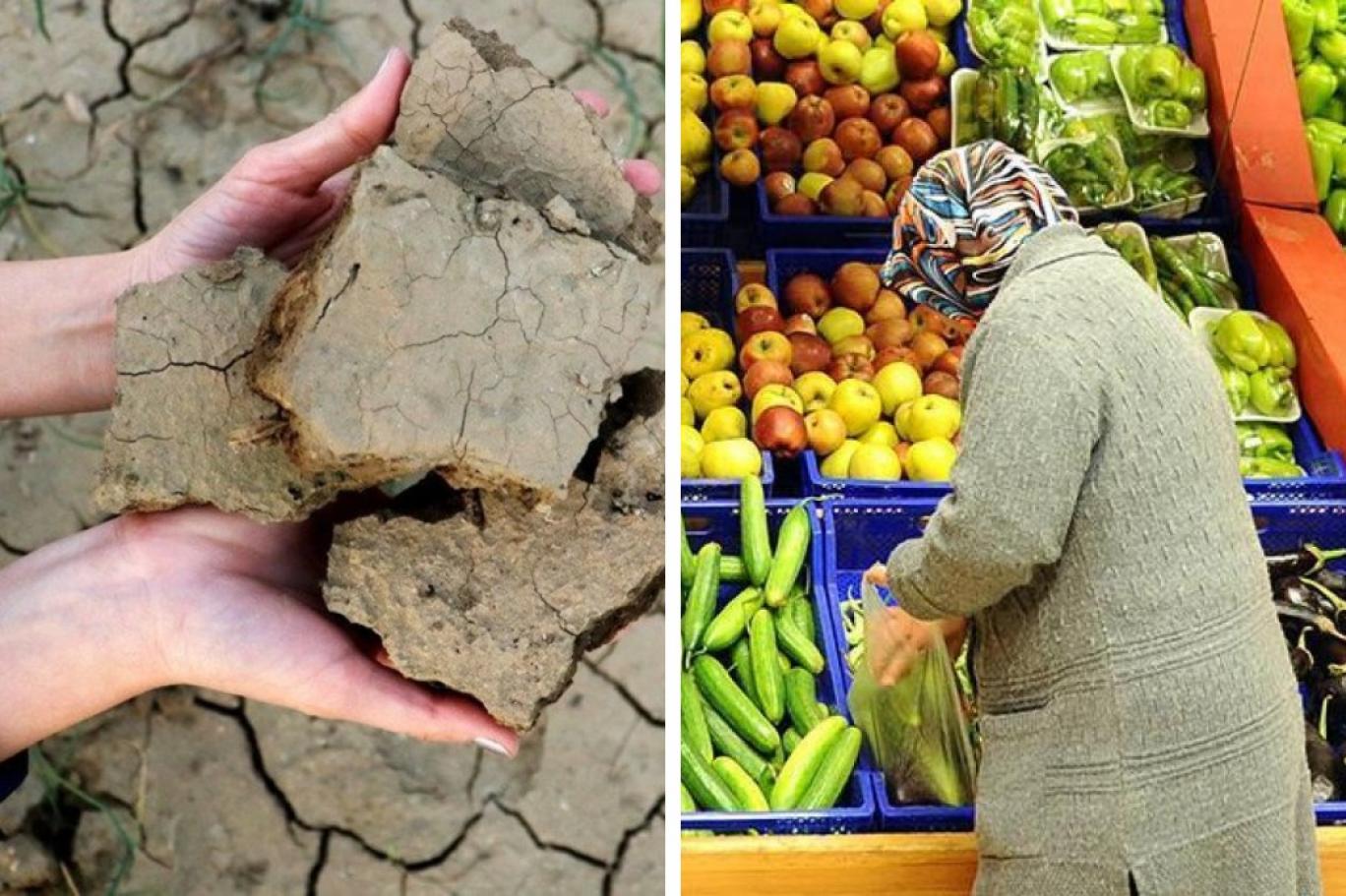 THE INDEPENDENTTURKİSH: KURAKLIK ETKİSİNİ SÜRDÜRÜYOR... 2022 TARIMDA KRİZ YILI OLACAK, GIDA FİYATLARI ARTMAYA DEVAM EDECEK- 22 EKİM 2021