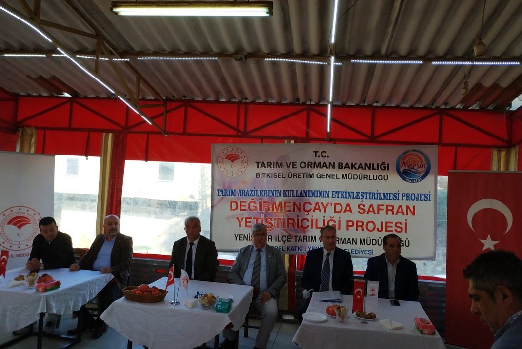 YENİŞEHİR İLÇESİ DEĞİRMENÇAY MAHALLESİNDE SAFRAN YETİŞTİRİCİLİĞİ PROJESİ KAPSAMINDA EKİLEN SOĞANLARIN HASAD ŞENLİĞİ
