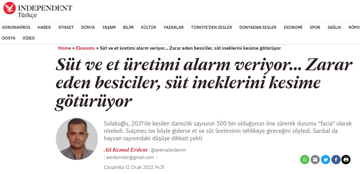 INDEPENDENT TÜRKÇE: SÜT VE ET ÜRETİMİ ALARM VERİYOR... ZARAR EDEN BESİCİLER, SÜT İNEKLERİNİ KESİME GÖTÜRÜYOR- 12 OCAK 2022