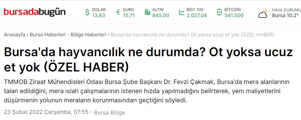 BURSADA BUGÜN GAZETESİ: BURSA`DA HAYVANCILIK NE DURUMDA? OT YOKSA UCUZ ET YOK (ÖZEL HABER) - 23 ŞUBAT 2022