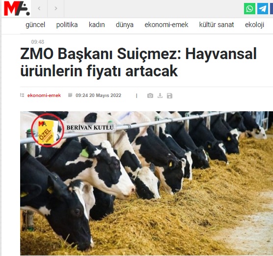 MEZOPOTAMYA AJANSI: ZMO BAŞKANI SUİÇMEZ: HAYVANSAL ÜRÜNLERİN FİYATI ARTACAK- 20 MAYIS 2022