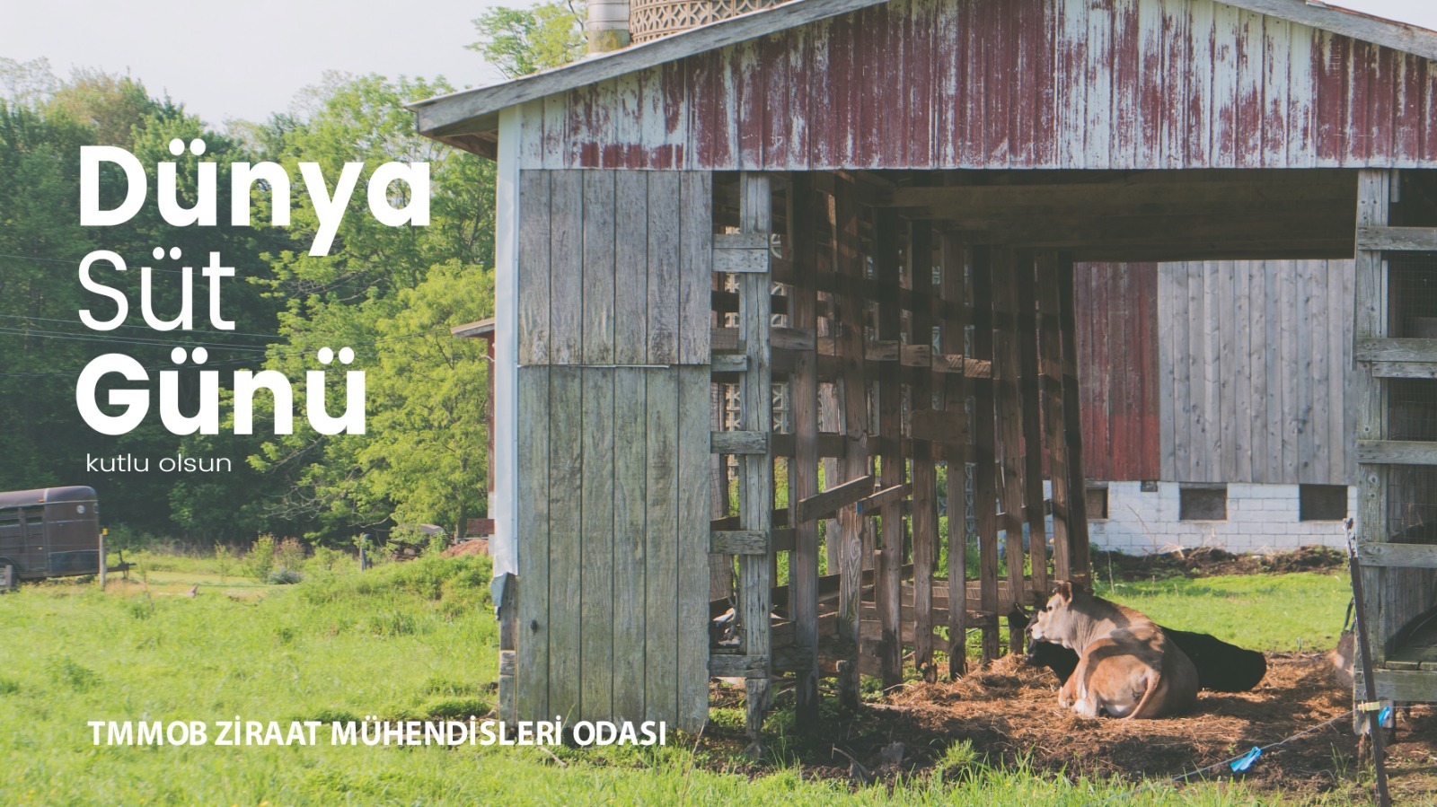 "DÜNYA SÜT GÜNÜ"NÜ KUTLAMAYI ÜLKEMİZDE DE TARTIŞALIM MI?

DOYASIYA YETERLİ VE UCUZ SÜT İÇMEMİZİ KİMLER ENGELLİYOR?

OYSA HER İNSAN İÇİN YETERLİ VE SAĞLIKLI SÜT İÇMEK ZAMANIDIR.