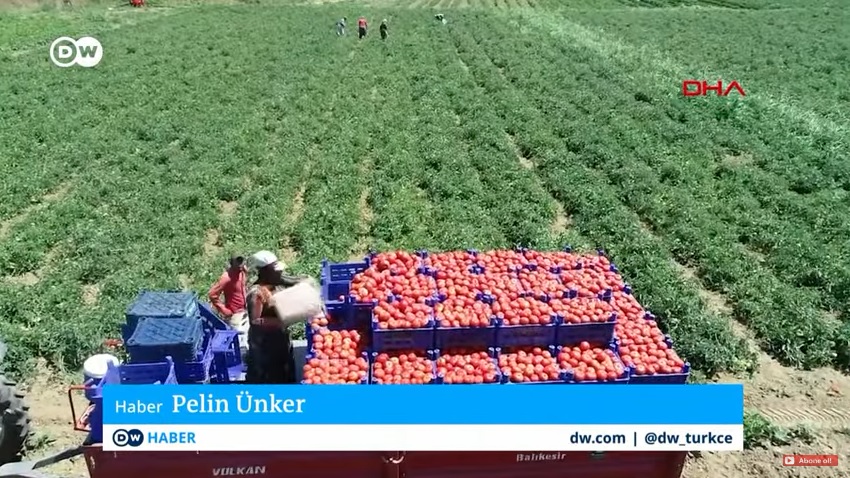 DW TÜRKÇE TV- "DW ANA HABER" PROGRAMI