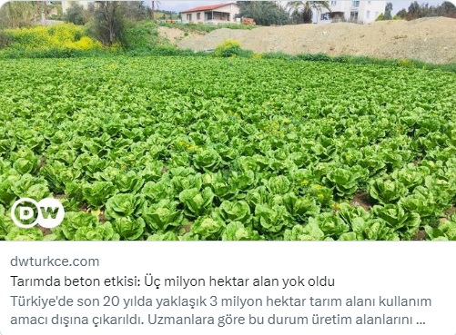 DW TÜRKÇE: TARIMDA BETON ETKİSİ: ÜÇ MİLYON HEKTAR ALAN YOK OLDU- 1 NİSAN 2023
