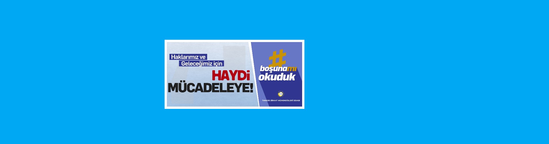 Manşet