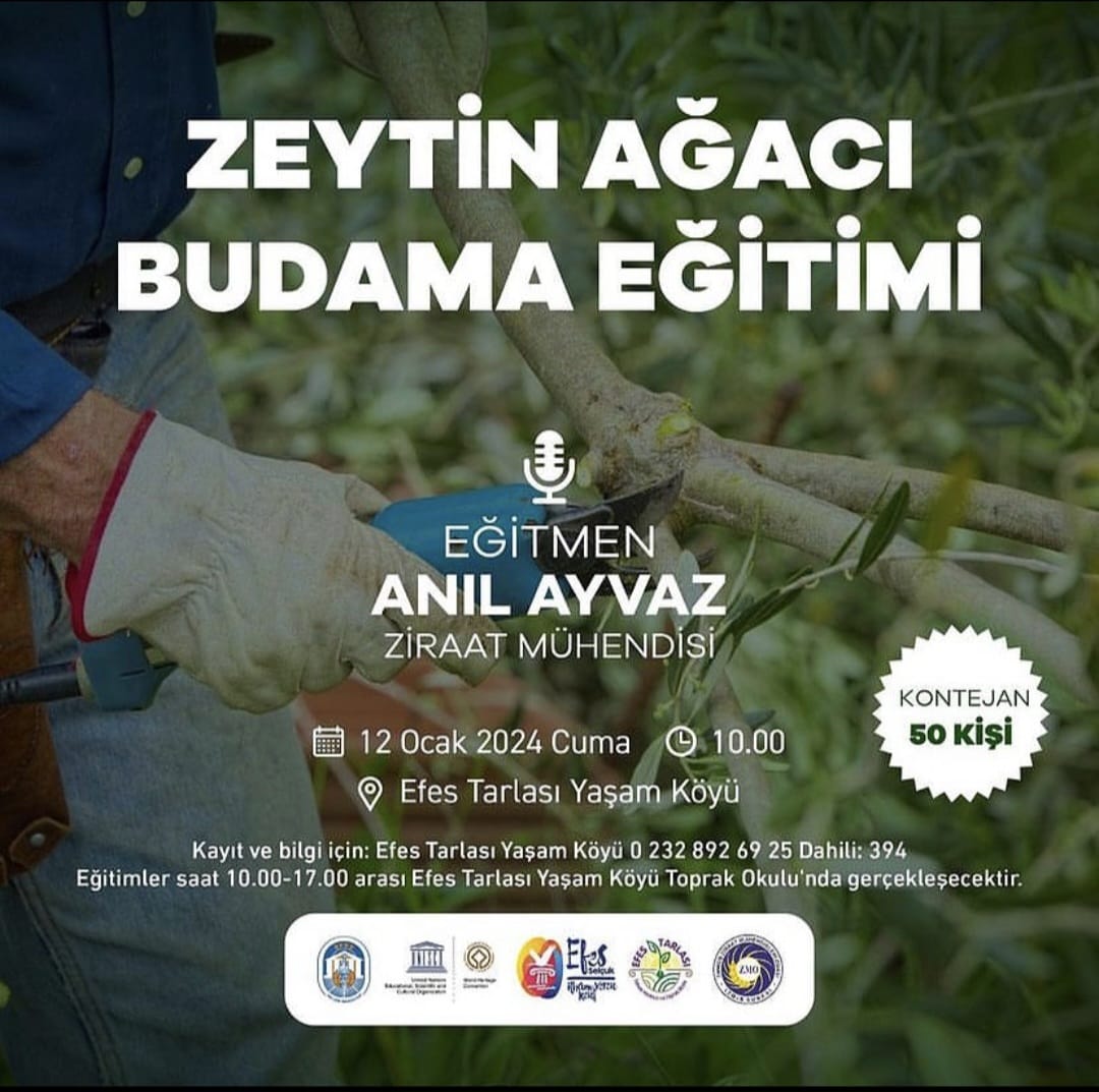 "ZEYTİN AĞACI BUDAMA EĞİTİMİ" 