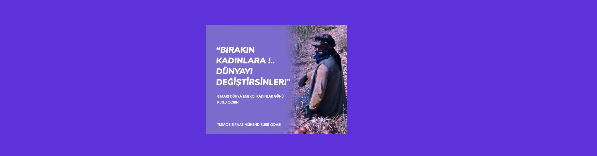 Manşet