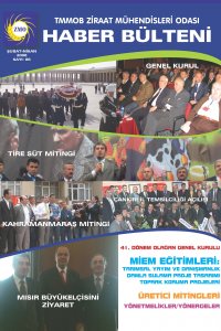 3062 HABER BÜLTENİ