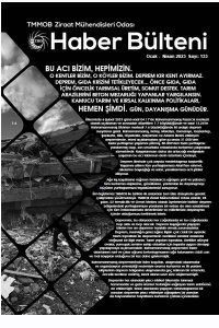 3386 HABER BÜLTENİ