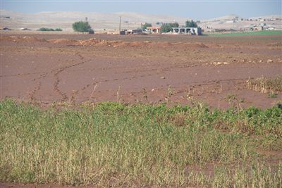 ŞANLIURFA‘DA GEÇTİĞİMİZ HAFTA YAĞAN DOLU VE AŞIRI YAĞMURDAN ETKİLENEN BAZI TARIM ARAZİLERİ KULLANILAMAZ HALE GELDİ