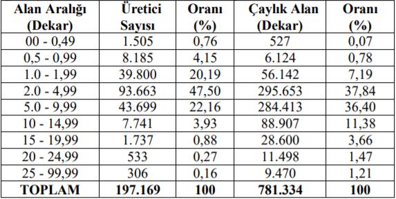 ÇAY ÜRETİCİSİNİN TADI YOK:

TABAN FİYAT, TAVAN FİYAT OLDU!