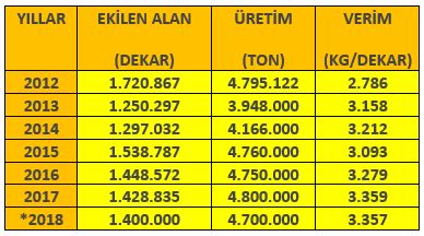 ÜLKEMİZDE KURU SOĞAN VE PATATESİN DURUMU-2018