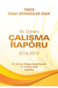 2920 2018-2019 46. DÖNEM ÇALIŞMA RAPORU