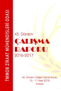 2914 2016-2017 45.DÖNEM ÇALIŞMA RAPORU