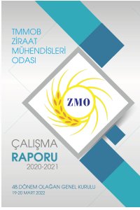 2924 47. DÖNEM ÇALIŞMA RAPORU 2020-2021