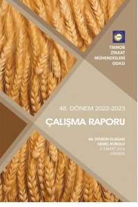 2925 48. DÖNEM ÇALIŞMA RAPORU