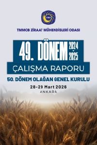 3404 49. DÖNEM ÇALIŞMA RAPORU (2024-2025)